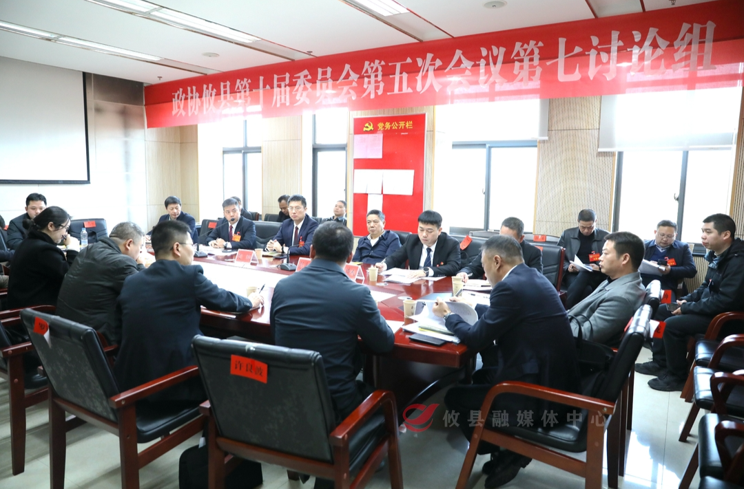 【潮涌攸州·2025年攸县两会】文毅参加政协委员联组讨论
