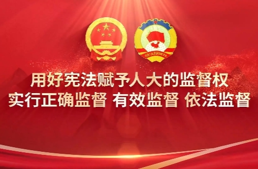 用好宪法赋予人大的监督权 实行正确监督 有效监督 依法监督