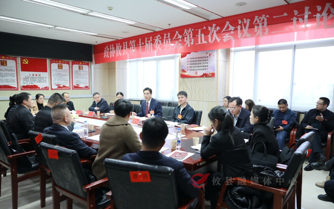 【潮涌攸州·2025年攸县两会】武挪强参加政协委员联组讨论