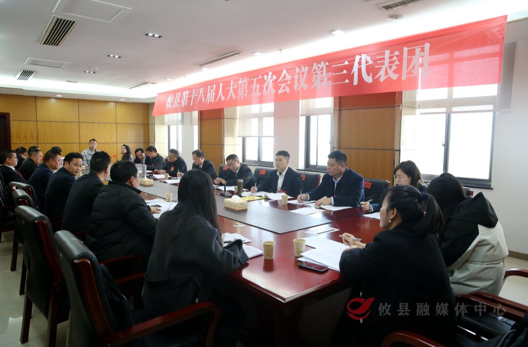 【潮涌攸州·2025年攸县两会】冯杰参加人大代表分团讨论