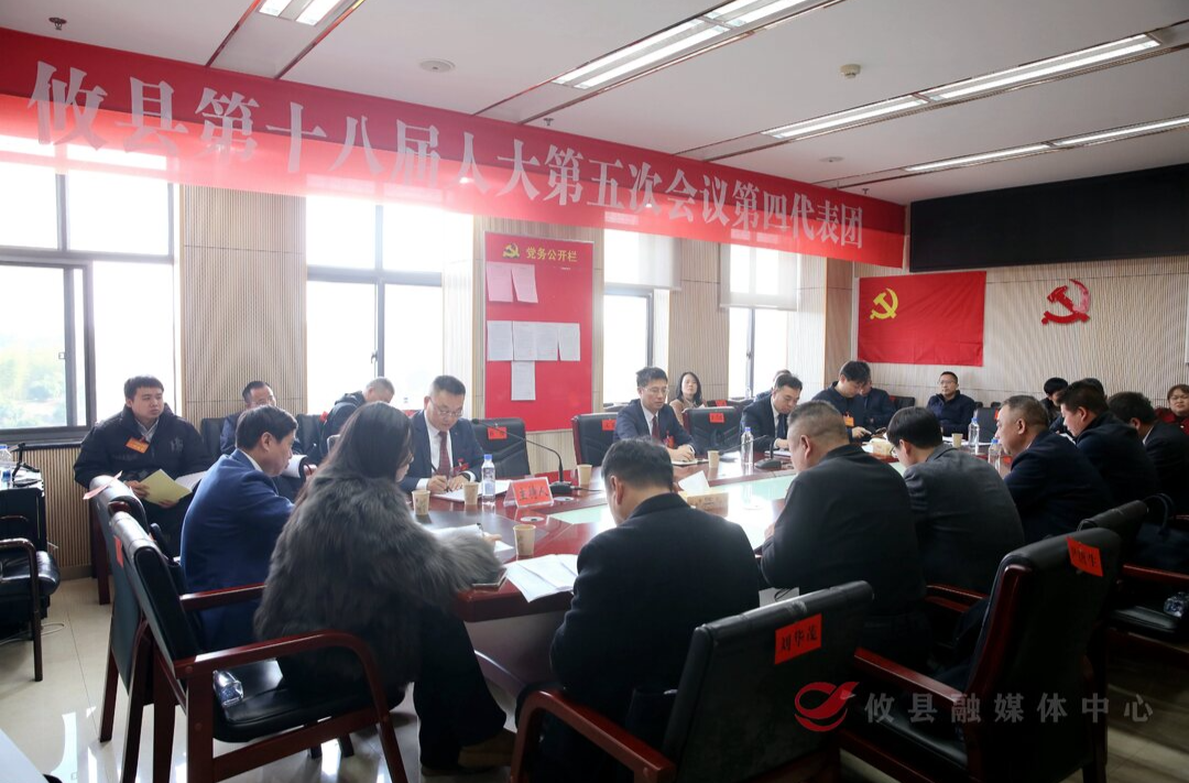 【潮涌攸州·2025年攸县两会】文毅参加人大代表分团讨论
