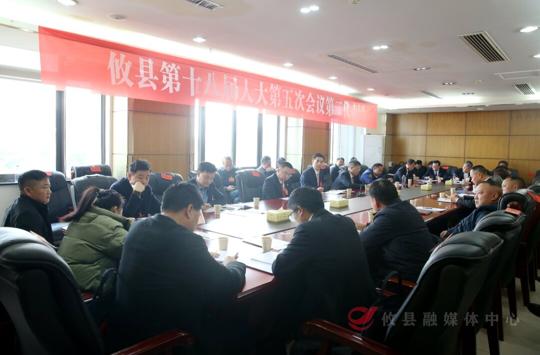 【潮涌攸州·2025年攸县两会】武挪强参加人大第二代表团讨论