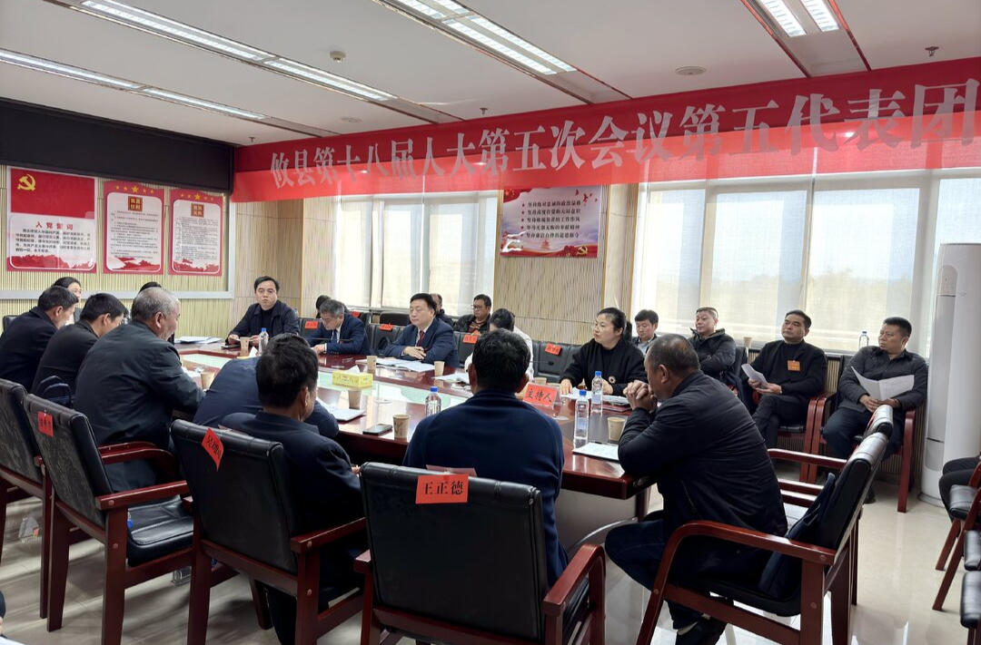 【潮涌攸州·2025年攸县两会】县领导参加人大代表分团讨论