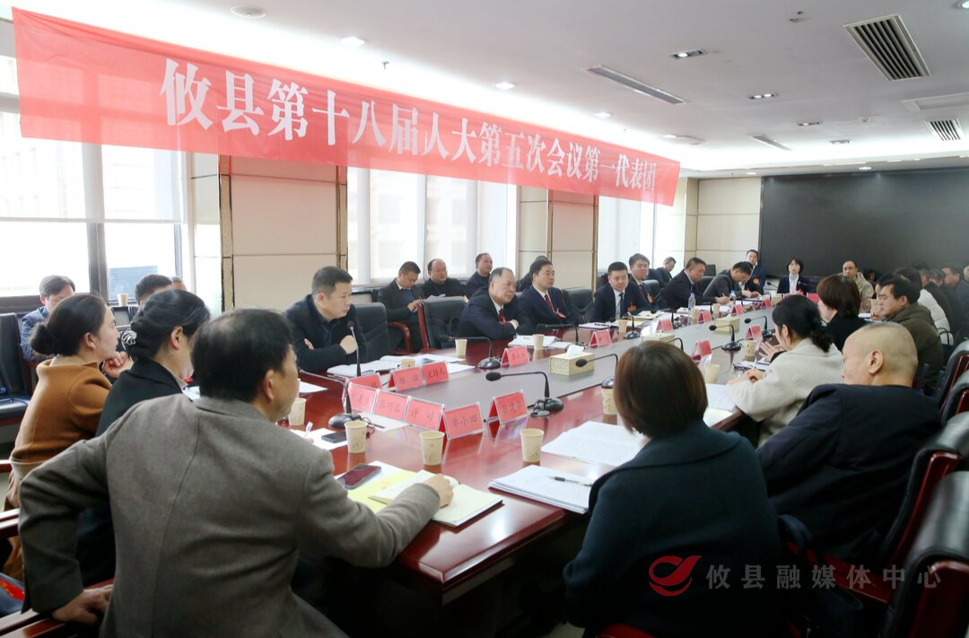 【潮涌攸州·2025年攸县两会】李鹏程参加人大第一代表团讨论