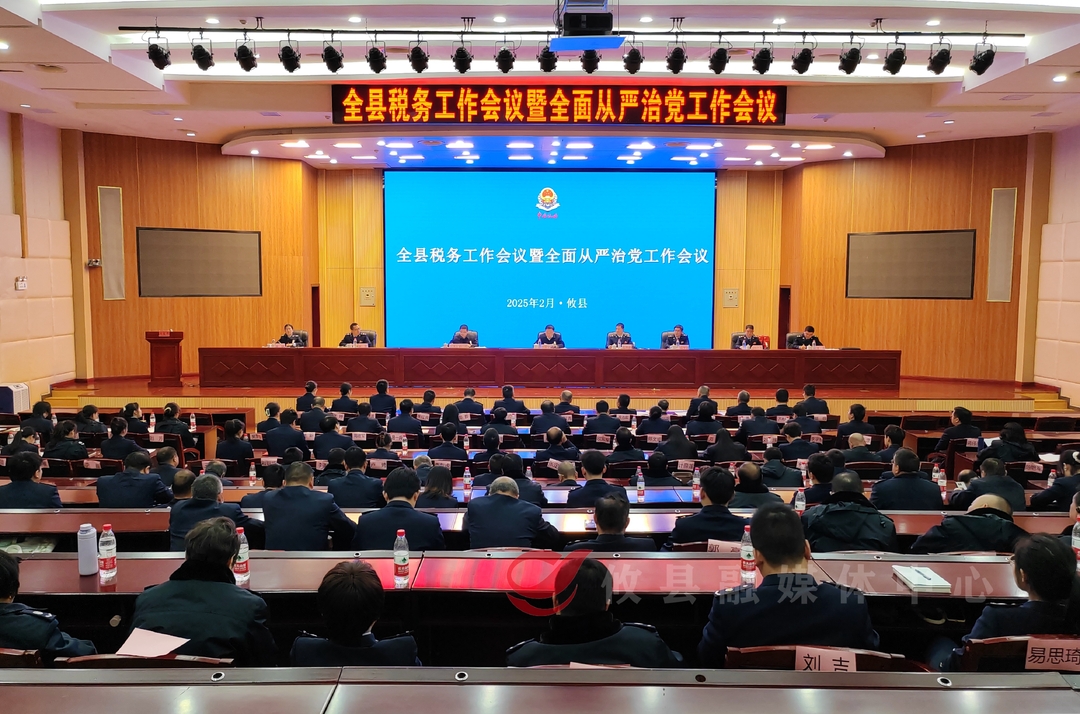 攸县税务局：以“八项强基提能方案”打造效能税务“攸县样板”