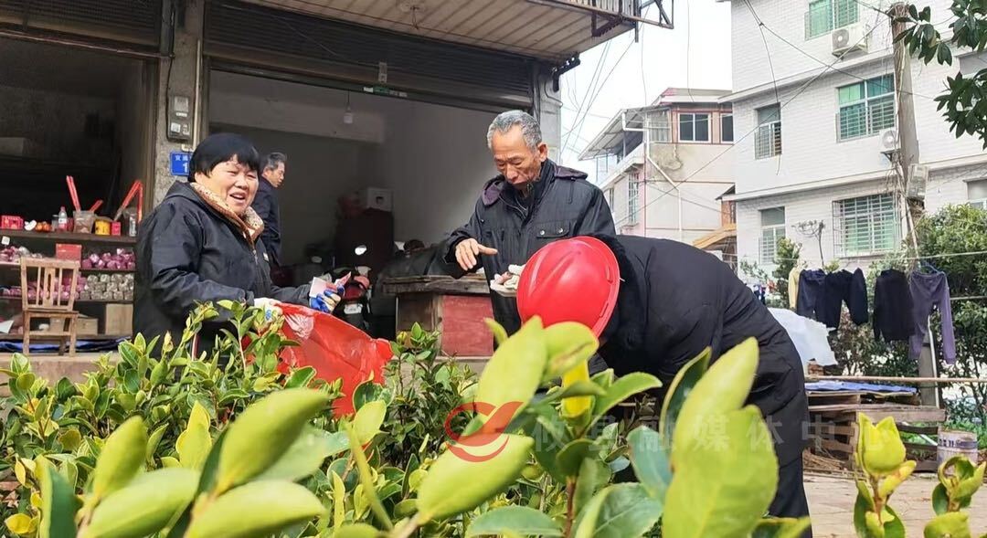 攸县：春来苗木俏 添绿正当时