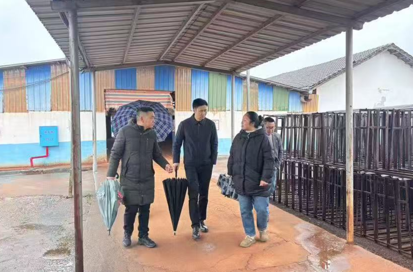 新市镇：安全护航优环境 助企复工冲刺“开门红”