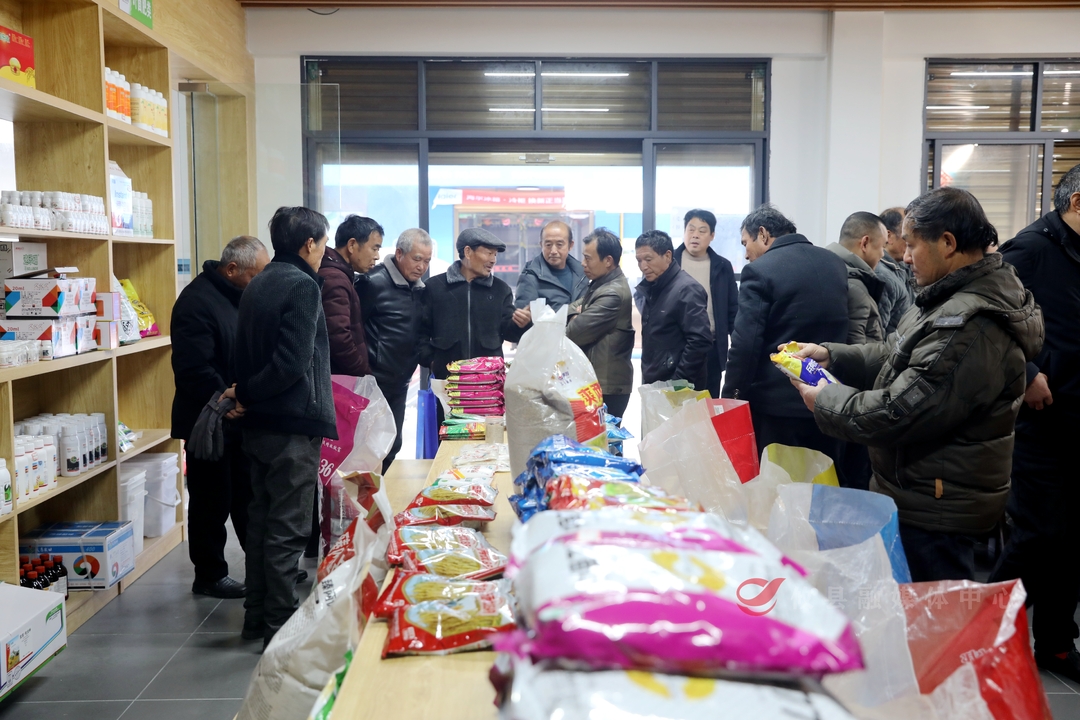 【新春加油干】 酒埠江镇：多措并举做好春耕备耕