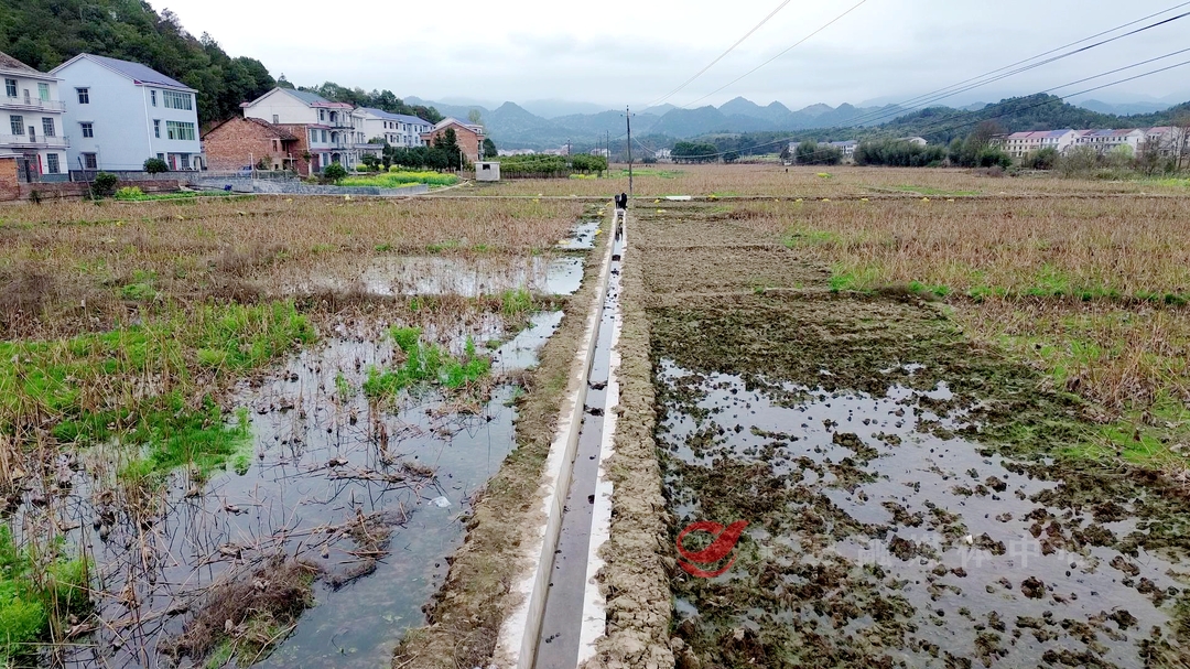 高标准农田水渠建成 保障春耕农田灌溉“生命线”