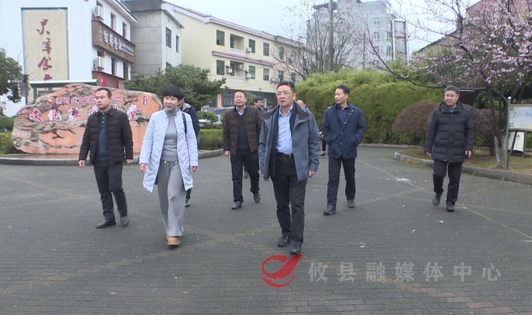 湖南省政协提案委来攸调研提案和微建议工作