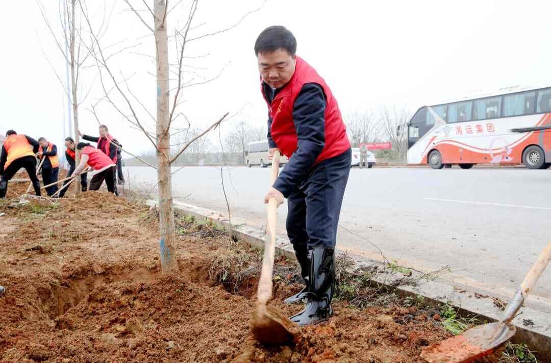 攸县开展2025年全民义务植树活动  为全县生态建设添绿增彩
