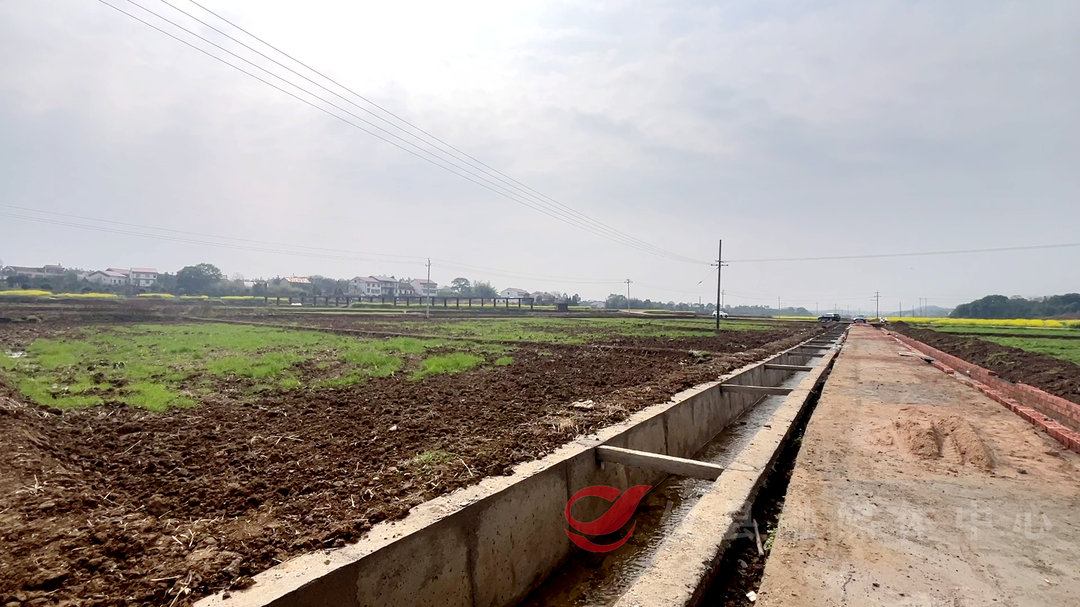 攸县：建设高标准农田 筑牢农业“耕”基