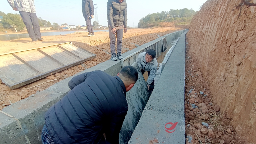 宁家坪镇：高标准农田水渠建设让荒田重焕生机