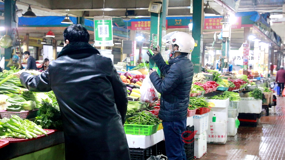 食春味，知自然！时令春菜缤纷登场