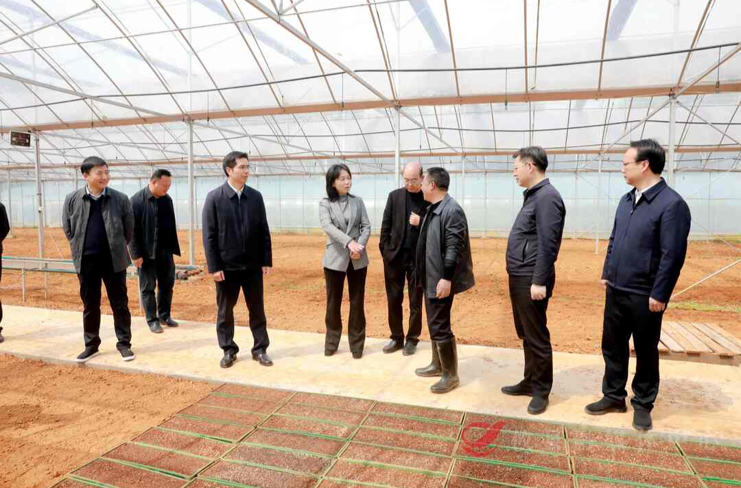 株洲市副市长钟燕来攸调研春耕备耕、防汛备汛工作