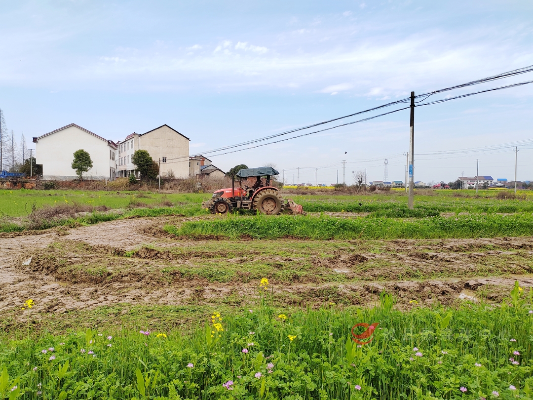 攸县：绿肥还田 助力春耕