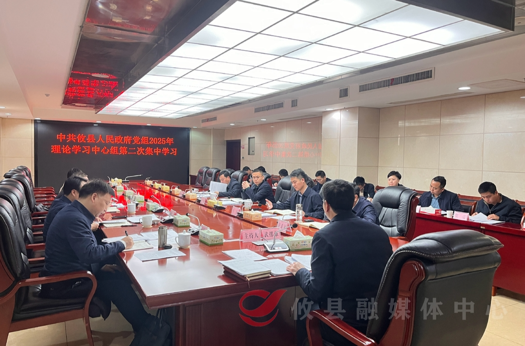 攸县人民政府党组开展2025年理论学习中心组第二次集中学习