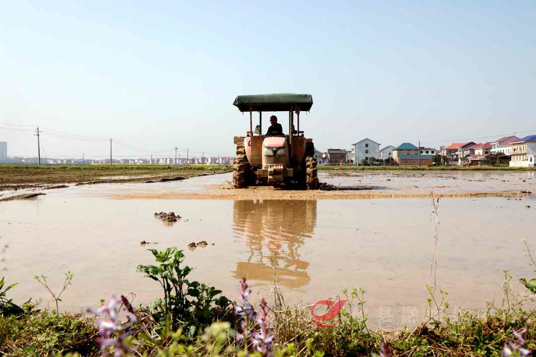 【春耕备耕】攸县：超5000台机械“闹”春耕