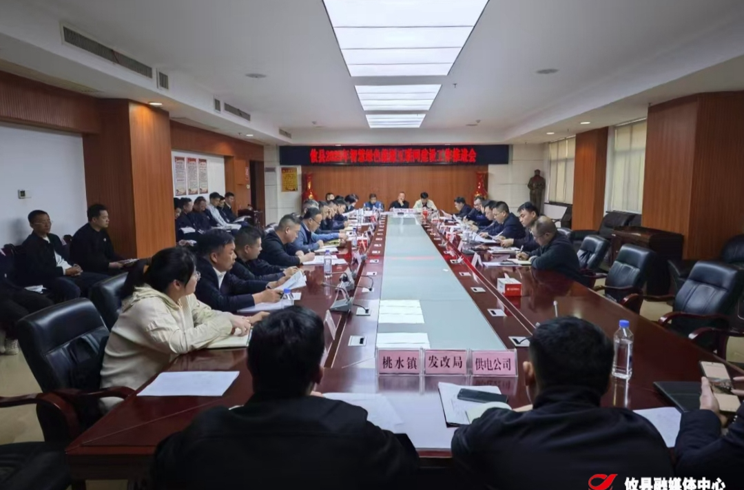 攸县召开2025年智慧绿色能源互联网建设工作推进会议