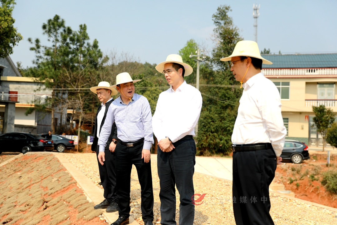 武挪强调研重点水利工程项目  强调：兴水利民、人水和谐