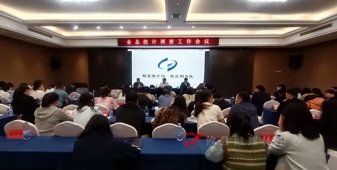 攸县统计调查工作会议召开