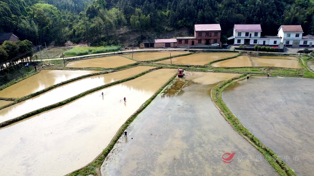 攸县农商银行：金融“活水”助力春耕备耕