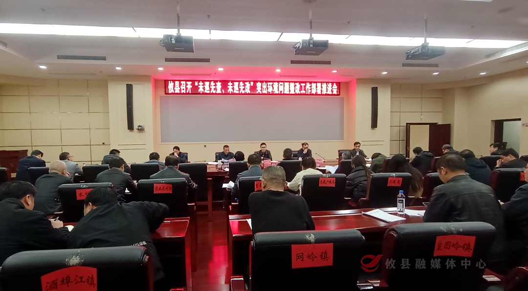 攸县召开"未巡先查、未巡先改"突出环境问题整改工作部署推进会