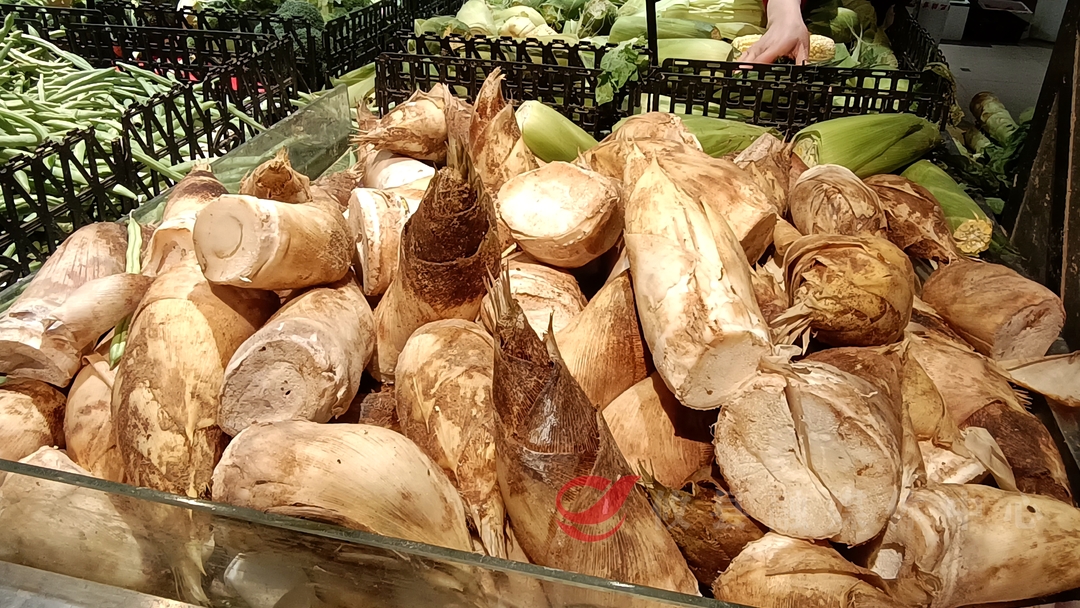 春菜抢“鲜”上市  丰富市民“菜蓝子”