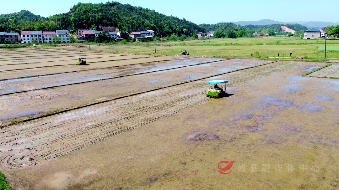 攸县：机械化赋能早稻生产 跑出春耕“加速度”