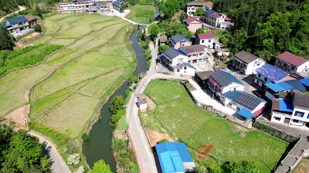 攸县网岭镇龙蟠洲村以工代赈项目正式启动