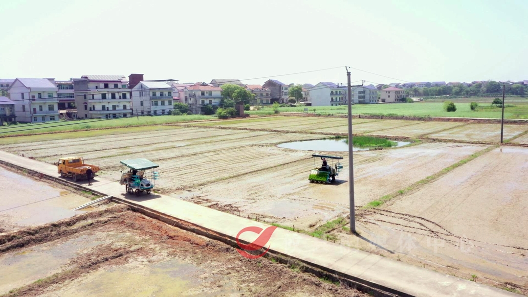 “科技+农业社会化服务”  让农业生产提质增效