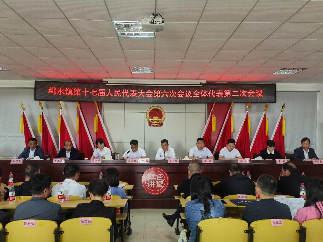 坚定信心 砥砺前行——桃水镇第十七届人民代表大会第六次会议胜利召开