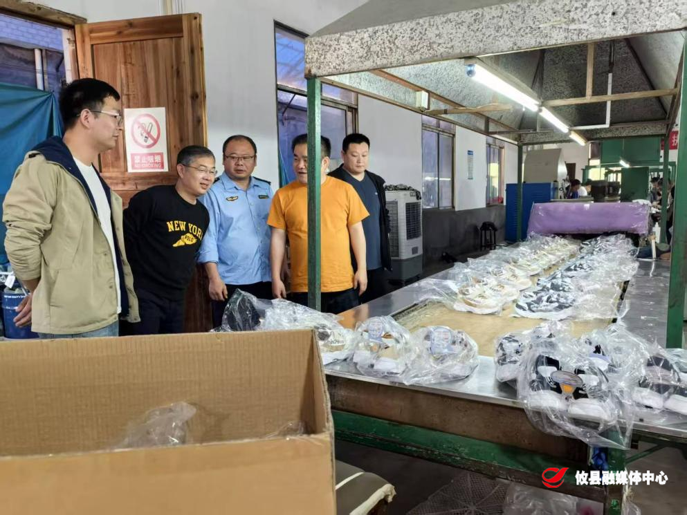 皇图岭镇：走访问需解企忧，全面排查筑防线