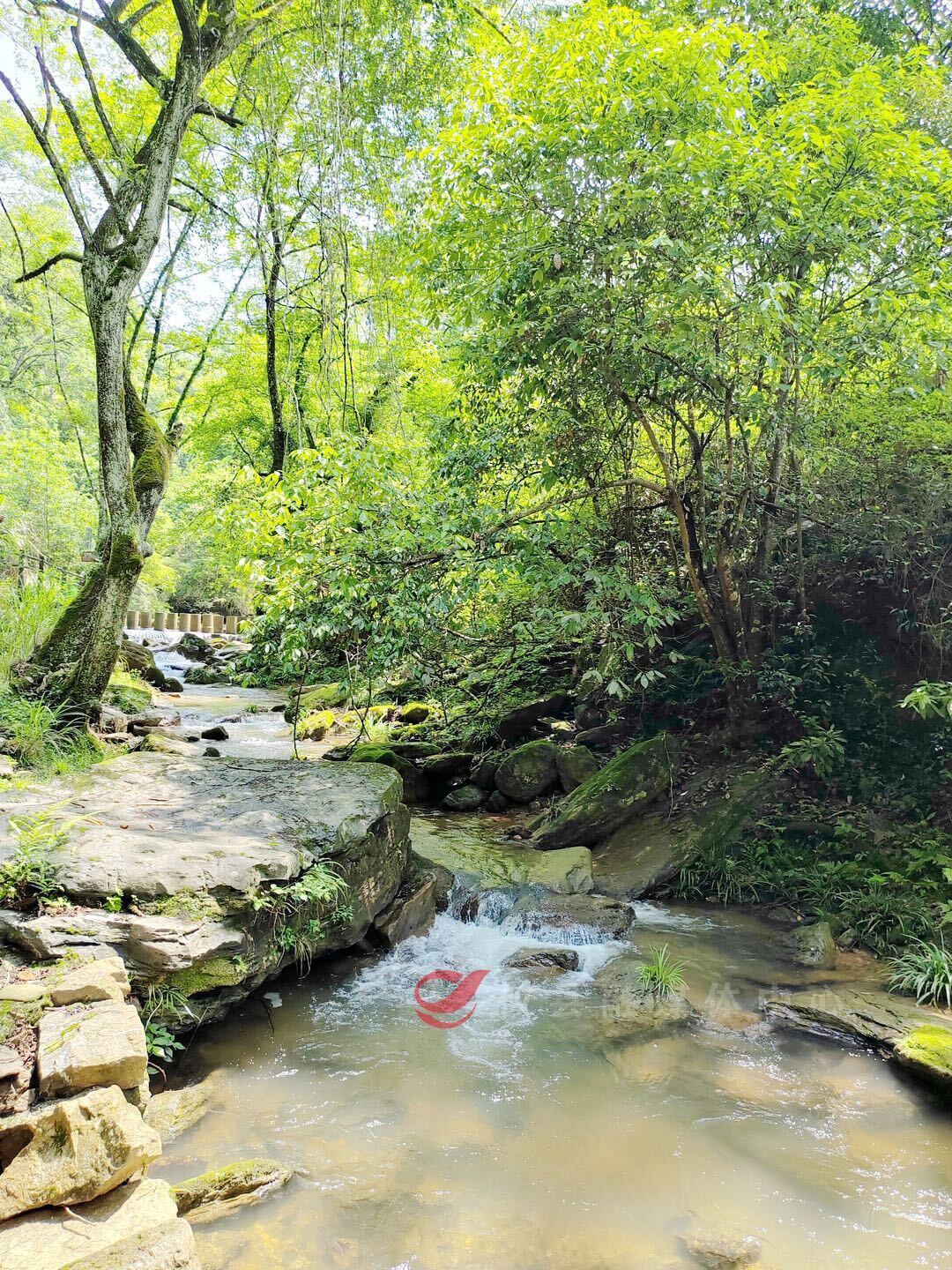 【五一去哪儿】  泉塘幽谷：3000米山水秘境 承包你的吸氧露营慢生活