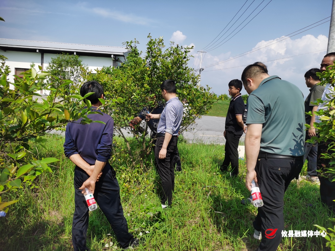 攸县林业局：爱心接力助白鹇归林 生态保护显林业担当