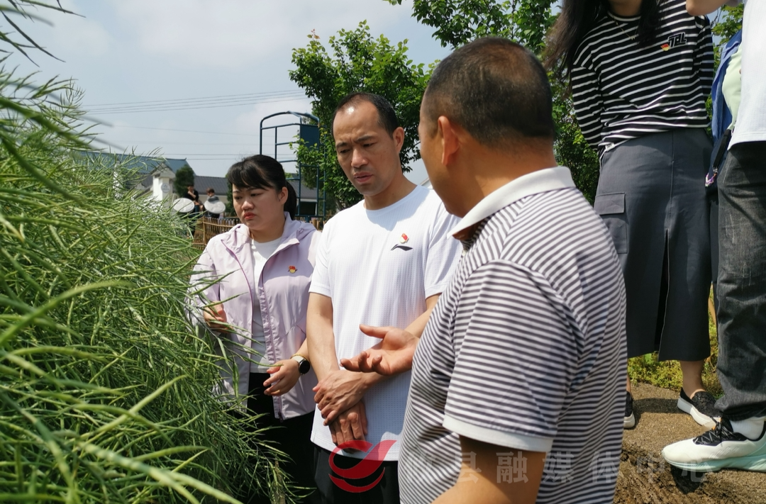躬身乡村深调研 共谋良策促振兴 株洲市委党校中青班来攸开展驻村入户实训