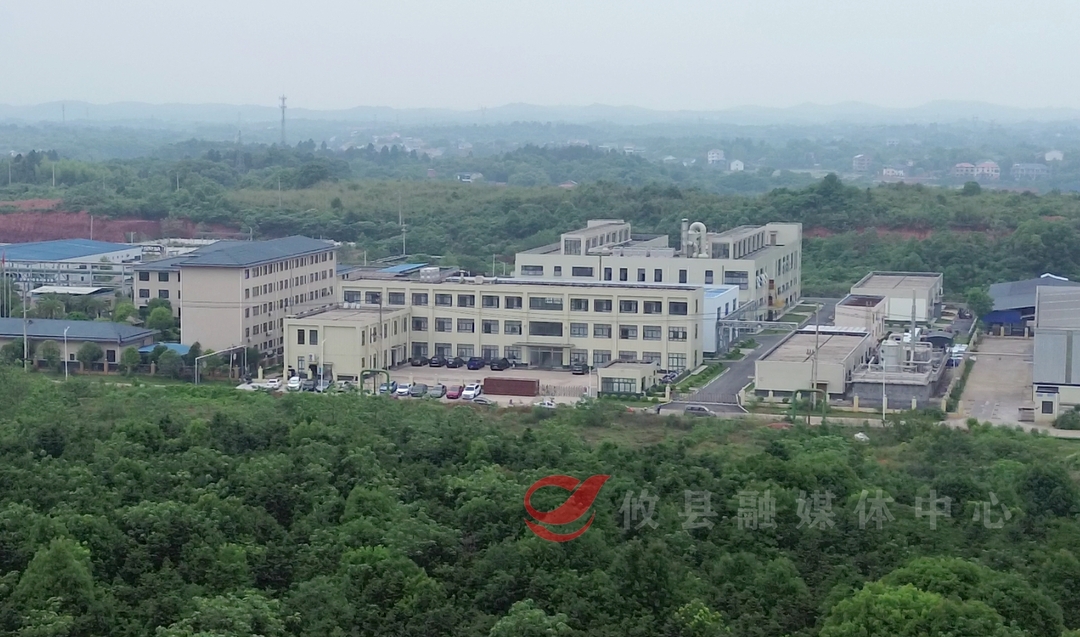 【“攸”新聚力 向高而攀】（二） “拆”流程 去“卡壳” “项目专员”跑出审批新速度