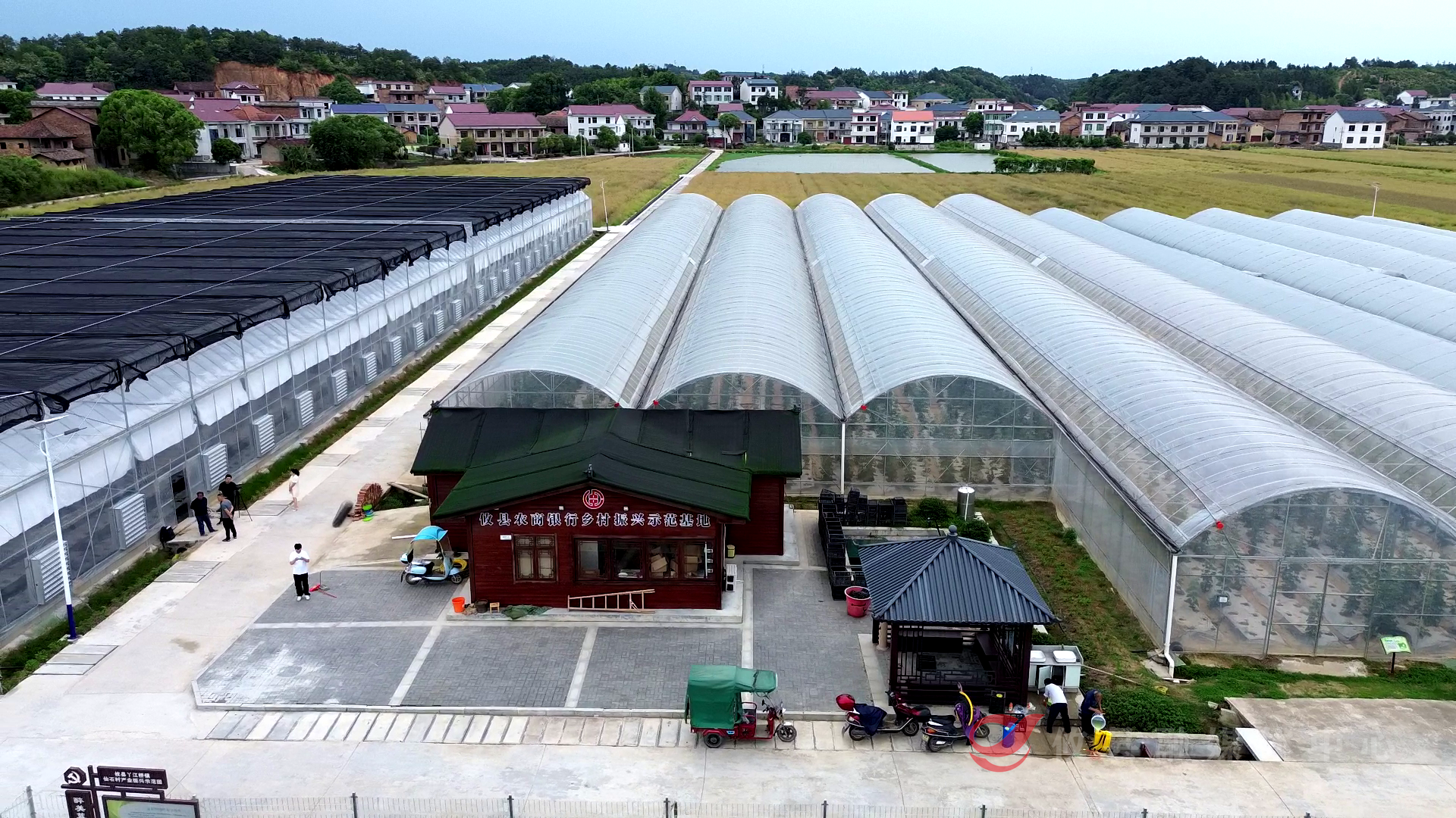 科技赋能特色种植 攸县仙石村走出集体经济发展新路径