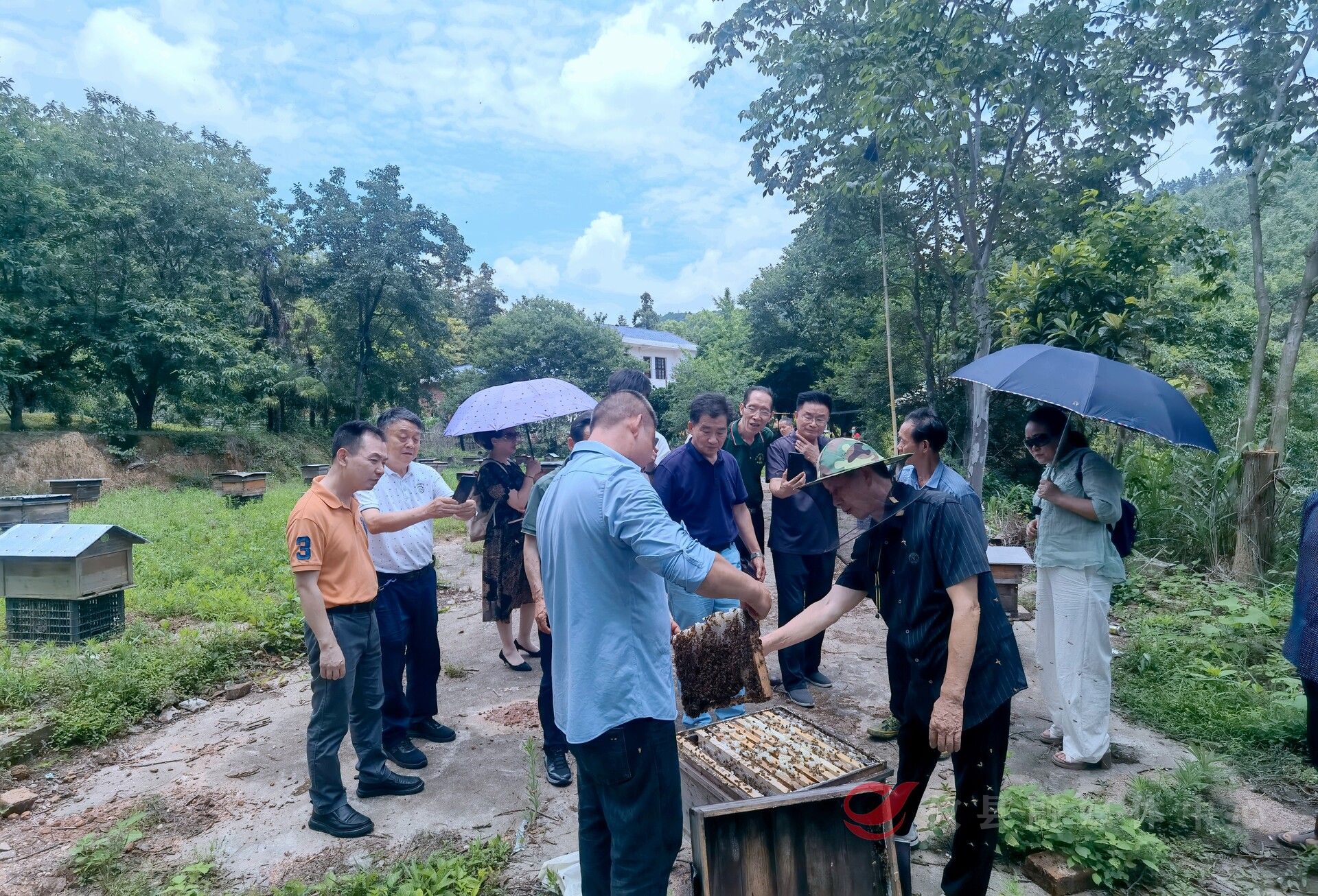 攸县侨联赴荫泉村开展侨心“蜜”意助乡兴联谊活动