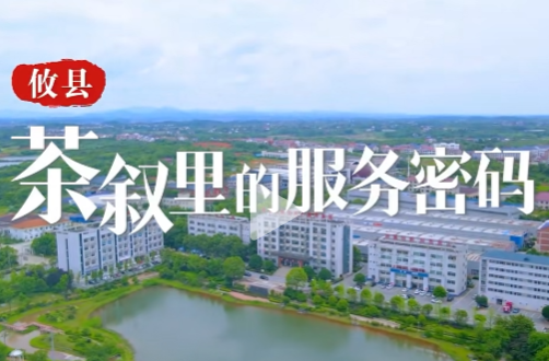 《攸县茶叙里的服务密码》