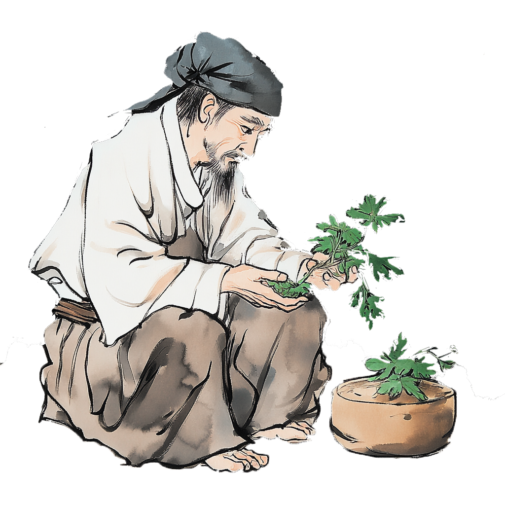 【活动预告】借三伏骄阳 养一身“正”气