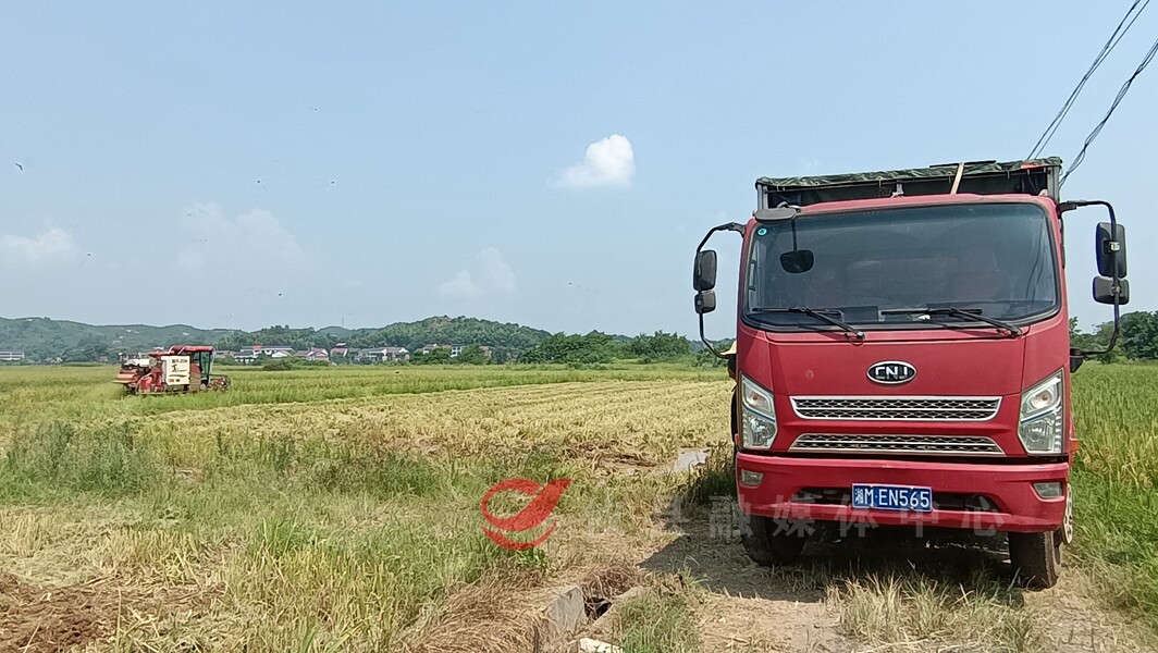 桃水镇：大力推进秸秆粉碎还田