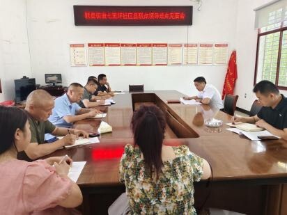 县领导到联星街道联点村讲专题党课 强调以优良作风筑牢基层根基