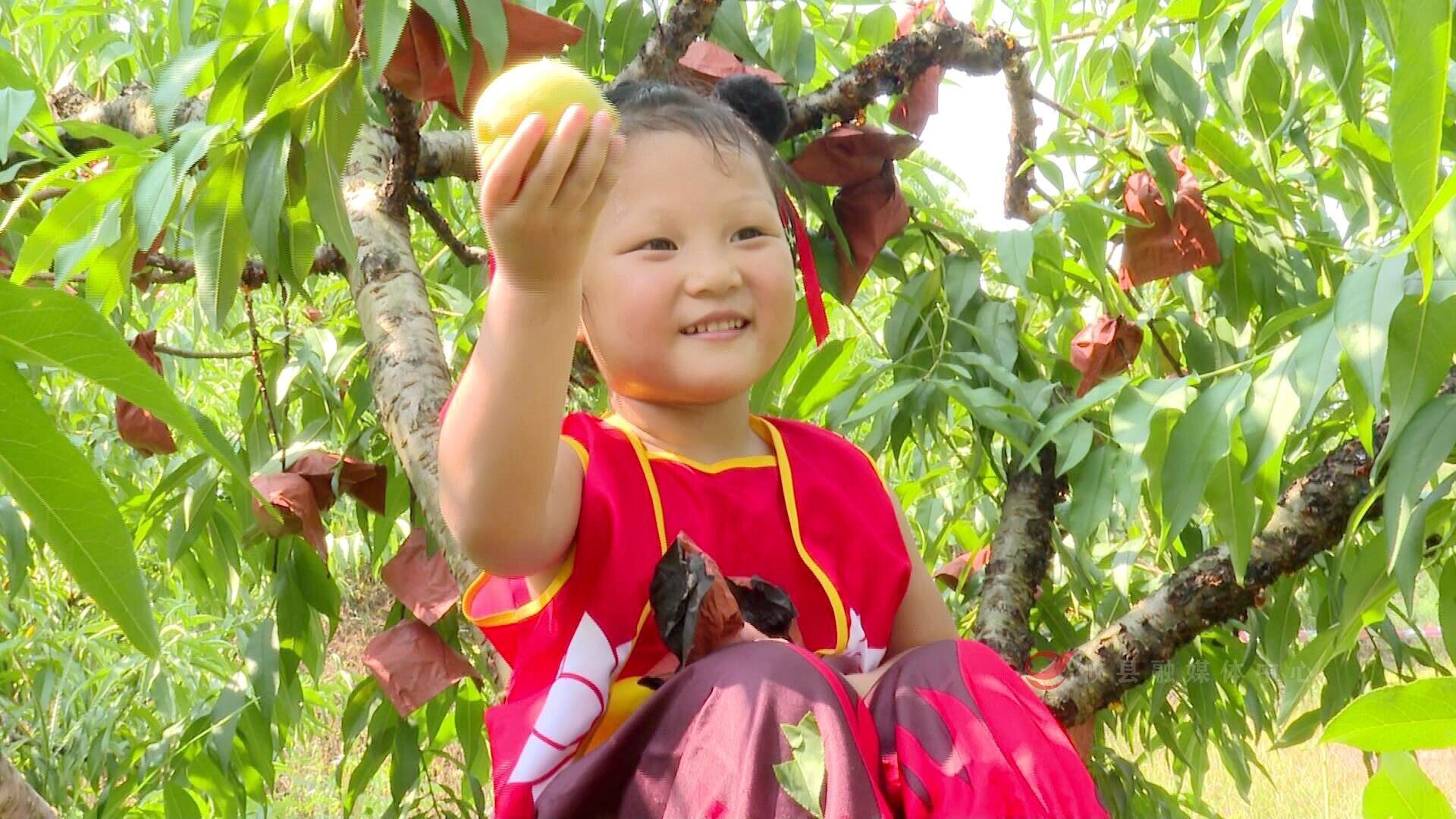 谭桥街道盛润黄桃基地7月20日开园迎客