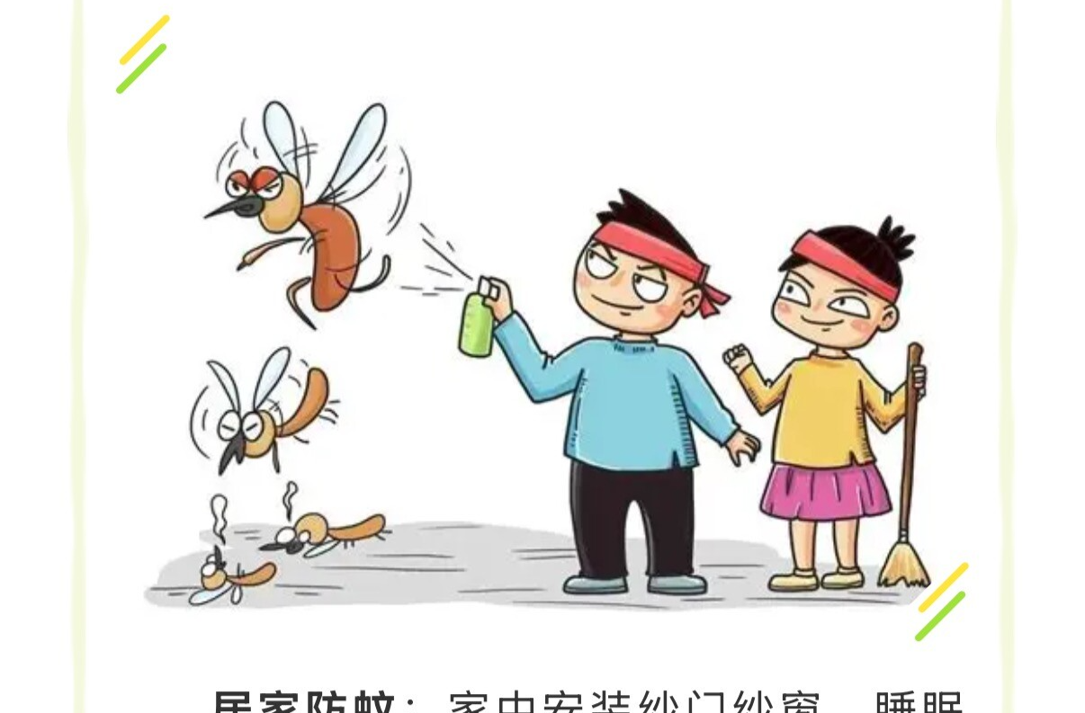 【健康科普】这份基孔肯雅热防控与就医指南，请收好！