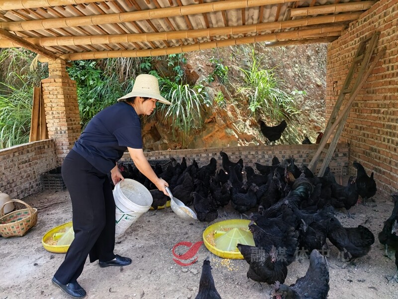 攸县两人获评“全国乡村女性十佳创业明星”