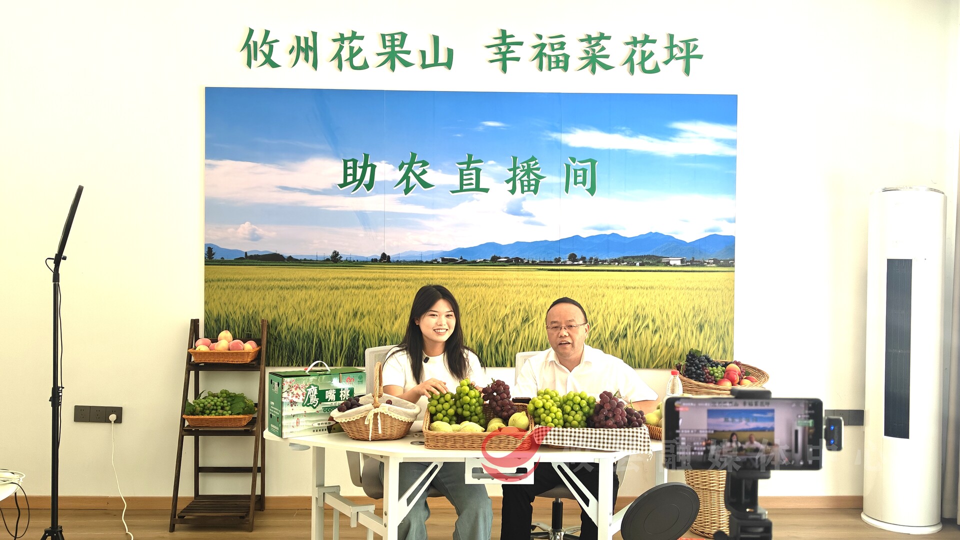 菜花坪镇：镇长直播助农 打响“攸州花果山”品牌