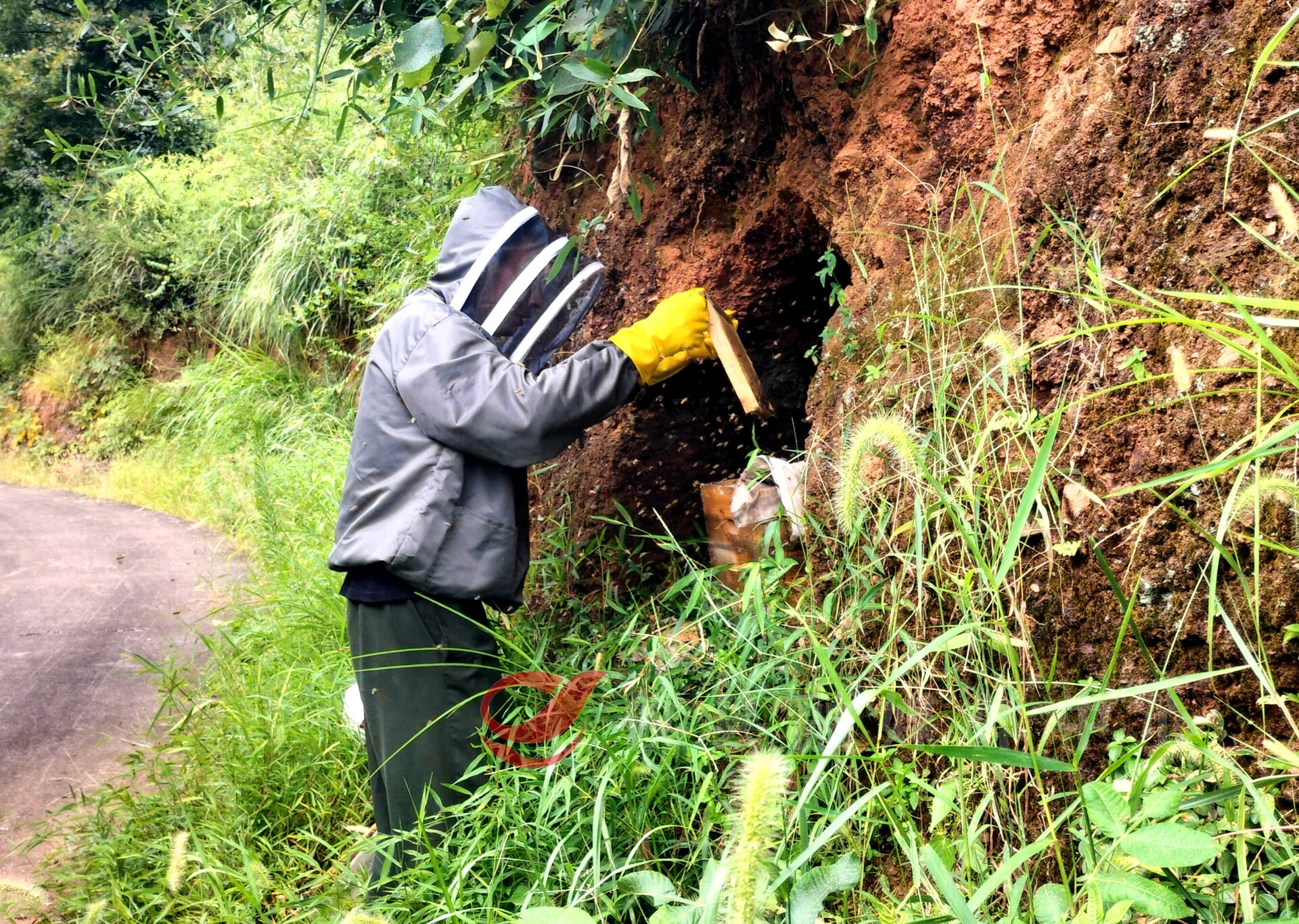 【老兵新传】王雪昭：以良心酿品质 养出健康“山味道”
