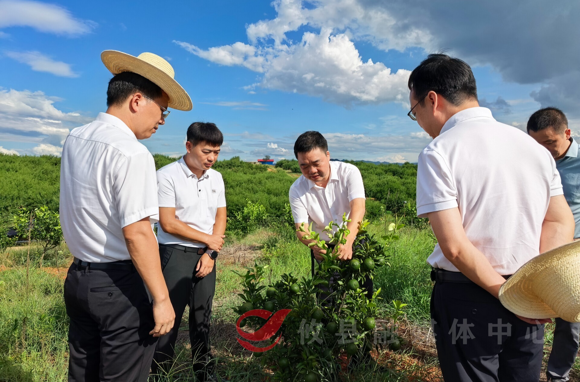 李鹏程调研巩固拓展脱贫攻坚成果同乡村振兴有效衔接工作