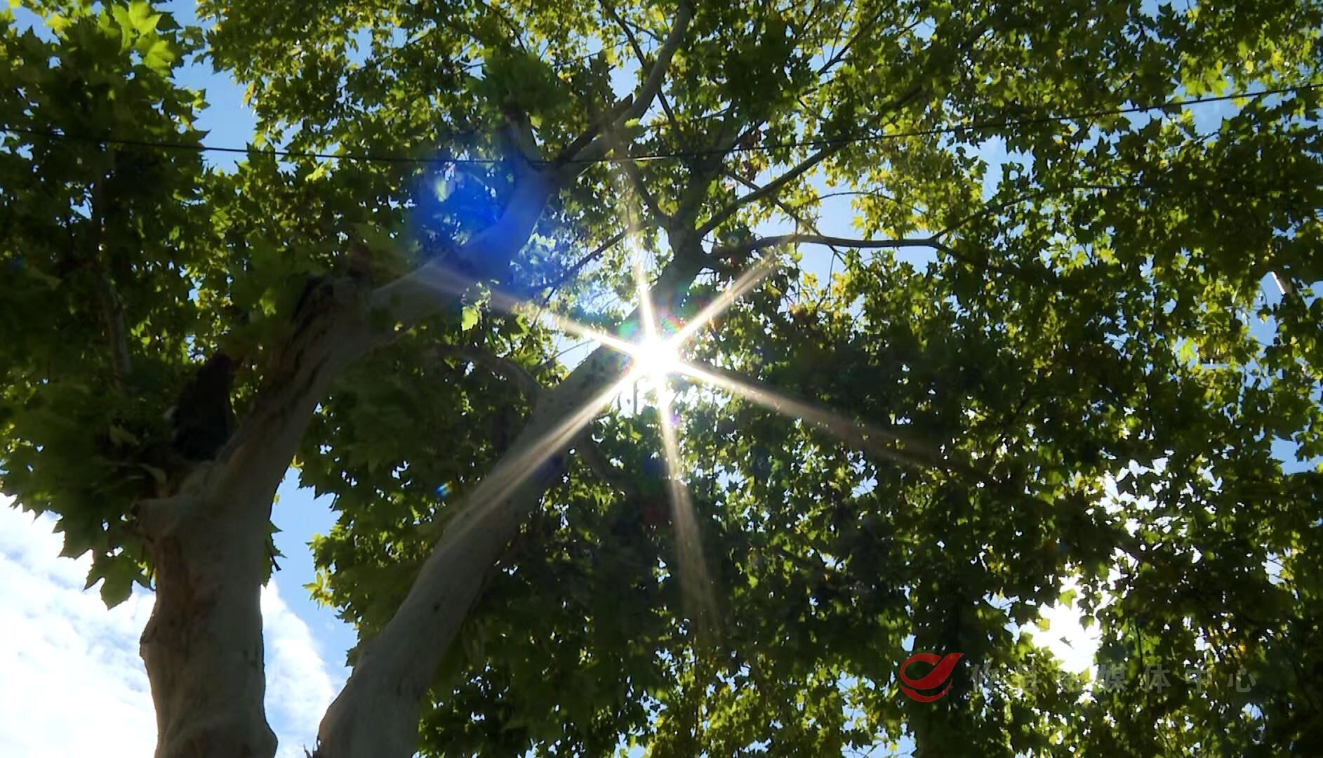 攸县出伏后仍需警惕“秋老虎”  气象部门预计高温将持续